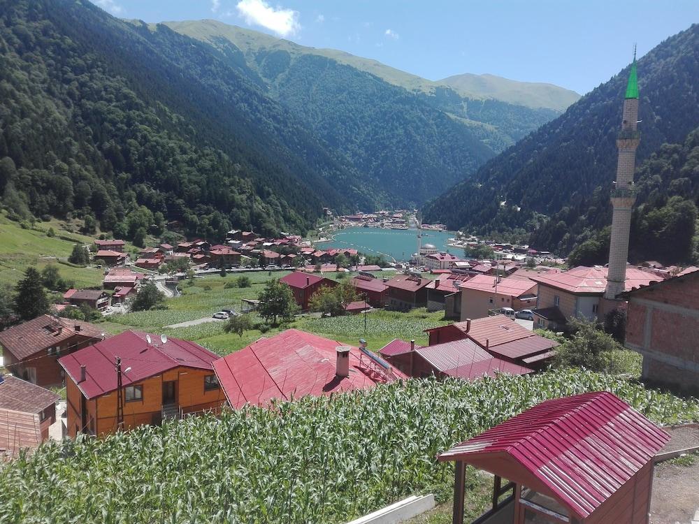 Kuzey Palace Uzungöl Exteriér fotografie