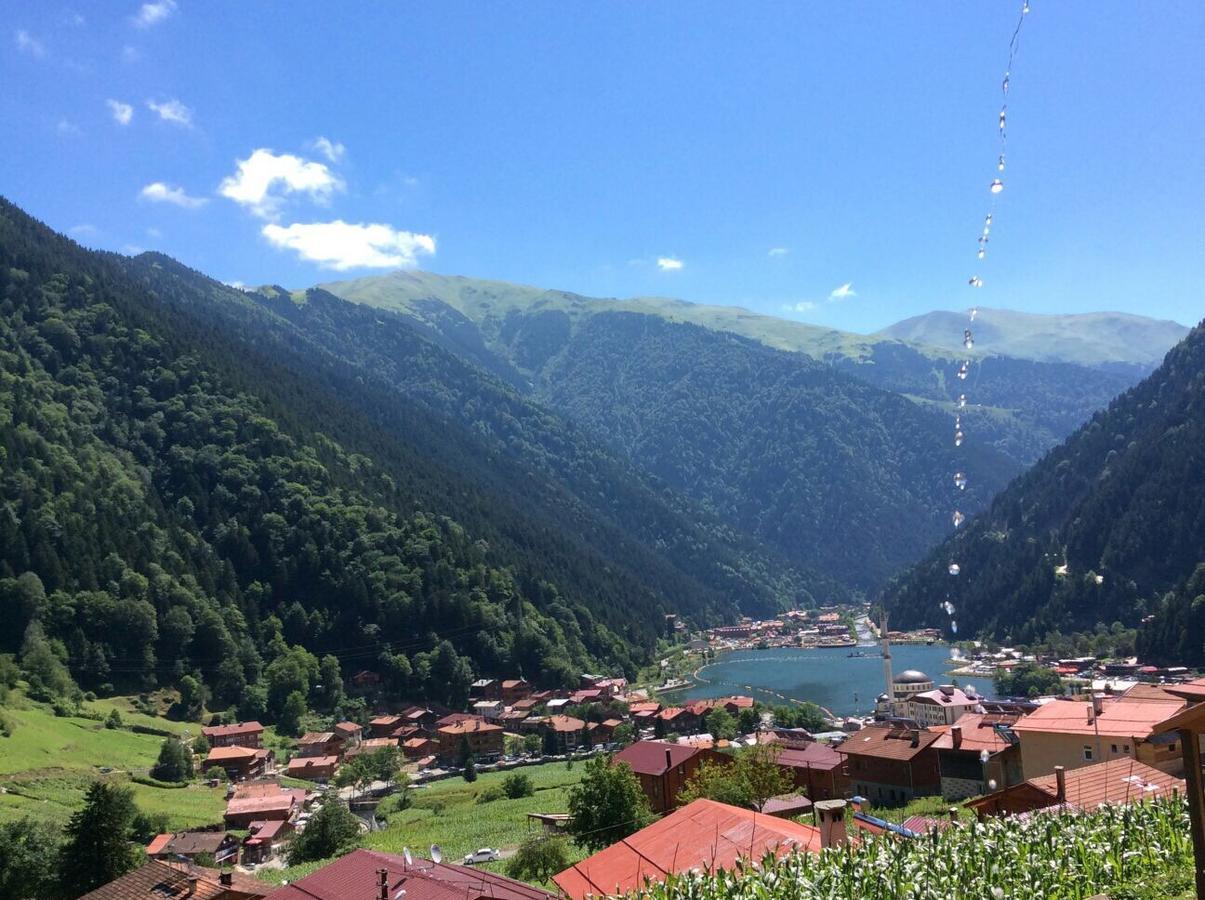 Kuzey Palace Uzungöl Exteriér fotografie